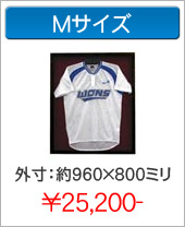 Mサイズ