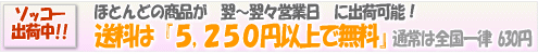 5,250円以上送料無料